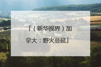 （新华视界）加拿大：野火蔓延