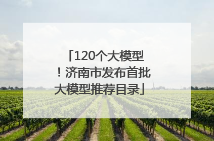 120个大模型！济南市发布首批大模型推荐目录