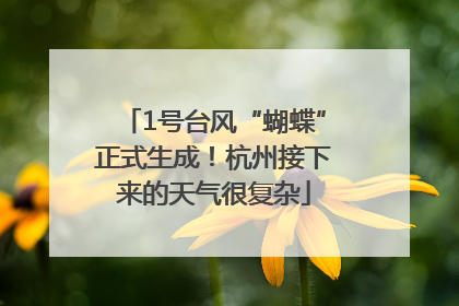 1号台风“蝴蝶”正式生成！杭州接下来的天气很复杂