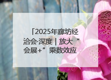 2025年廊坊经洽会·深度｜放大“会展+”乘数效应 打造消费新场景