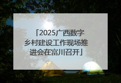 2025广西数字乡村建设工作现场推进会在富川召开