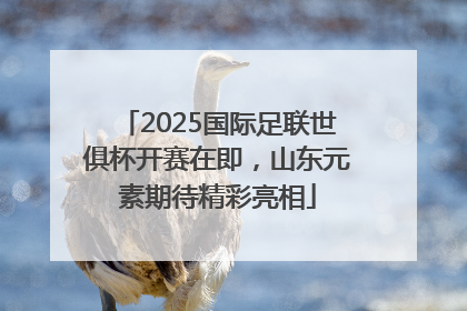 2025国际足联世俱杯开赛在即，山东元素期待精彩亮相