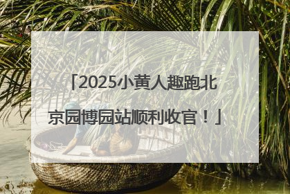 2025小黄人趣跑北京园博园站顺利收官！