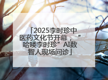 2025李时珍中医药文化节开幕，“哈喽李时珍”AI数智人现场问诊
