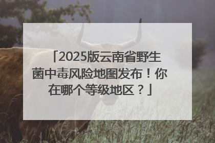 2025版云南省野生菌中毒风险地图发布！你在哪个等级地区？