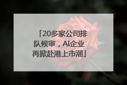 20多家公司排队候审，AI企业再掀赴港上市潮