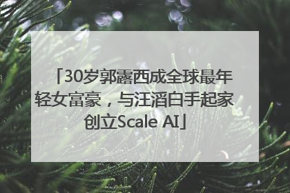 30岁郭露西成全球最年轻女富豪，与汪滔白手起家创立Scale AI