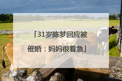 31岁陈梦回应被催婚：妈妈很着急