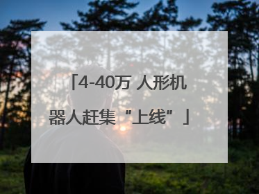 4-40万 人形机器人赶集“上线”