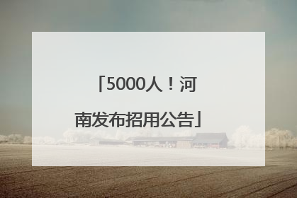 5000人！河南发布招用公告