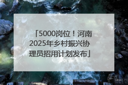 5000岗位！河南2025年乡村振兴协理员招用计划发布