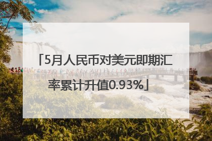 5月人民币对美元即期汇率累计升值0.93%