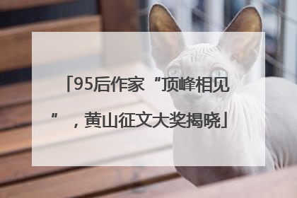 95后作家“顶峰相见”，黄山征文大奖揭晓