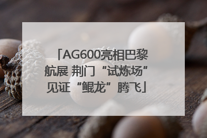 AG600亮相巴黎航展 荆门“试炼场”见证“鲲龙”腾飞
