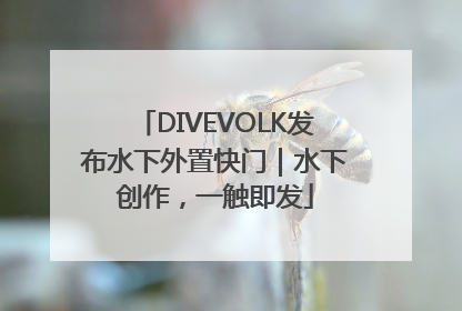 DIVEVOLK发布水下外置快门｜水下创作，一触即发