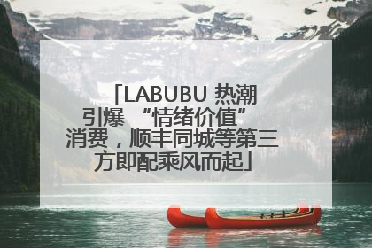 LABUBU 热潮引爆 “情绪价值” 消费，顺丰同城等第三方即配乘风而起