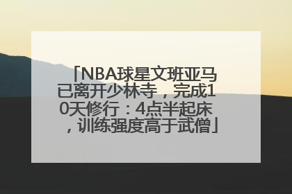 NBA球星文班亚马已离开少林寺，完成10天修行：4点半起床，训练强度高于武僧