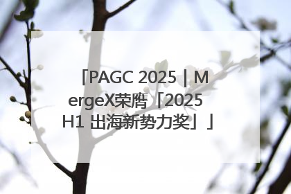 PAGC 2025｜MergeX荣膺「2025 H1 出海新势力奖」