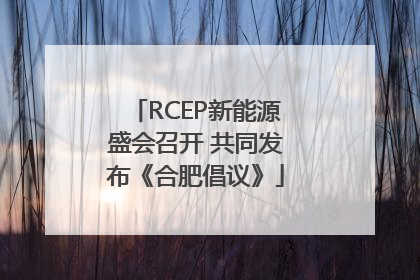 RCEP新能源盛会召开 共同发布《合肥倡议》